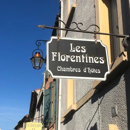 Les Florentines 4* Carcasona