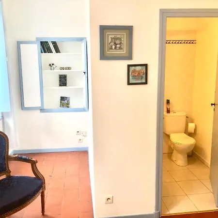 Les Florentines 4* Каркассон