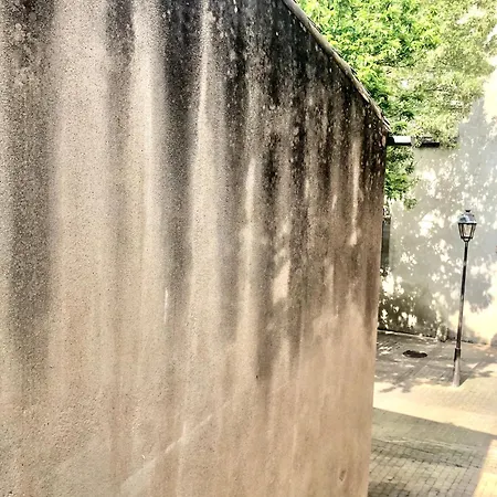 Les Florentines Каркассон