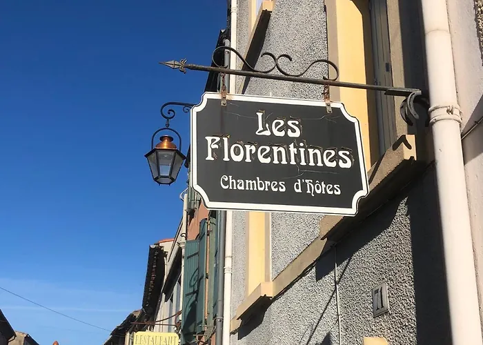 Les Florentines 4* Carcasona
