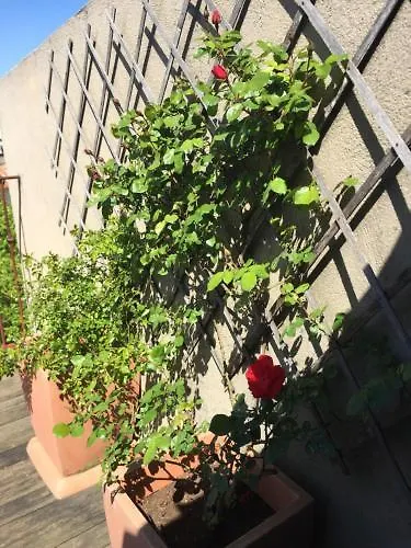 Les Florentines Каркассон